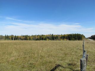 Photo 14: TWP Rd 310: Rural Mountain View County Land for sale : MLS®# C4292828