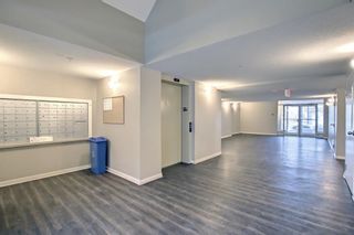 Photo 6: 302 2000 Applevillage Court in Calgary: Applewood Park Apartment for sale : MLS®# A1228911