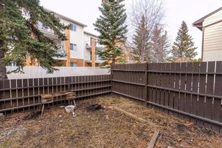 Photo 17: 30 175 Manora Place NE in Calgary: Marlborough Park Row/Townhouse for sale : MLS®# A2116369
