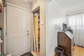Photo 19: 171 Maple Court Crescent SE in Calgary: Maple Ridge Detached for sale : MLS®# A2124457