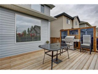 Photo 42: 43 BRIGHTONSTONE Grove SE in Calgary: New Brighton House for sale : MLS®# C4085071