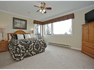 Photo 11: 3615 NICO WYND Drive in Surrey: Elgin Chantrell Home for sale ()  : MLS®# F1419011