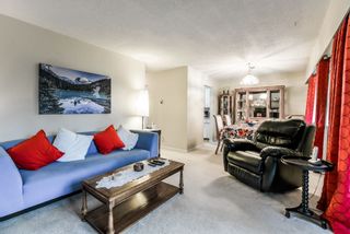 Photo 17: 206 32885 GEORGE FERGUSON Way in Abbotsford: Central Abbotsford Condo for sale in "Fairview Manor" : MLS®# R2308411