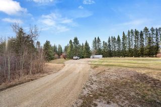 Photo 44: 5320 Township Road 310: Rural Mountain View County Detached for sale : MLS®# A1212599
