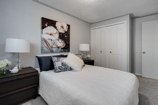 Photo 13: 43 Doverdale Mews SE in Calgary: Dover Row/Townhouse for sale : MLS®# A1052608