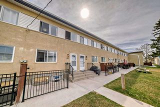 Photo 4: 202 2211 19 Street NE in Calgary: Vista Heights Row/Townhouse for sale : MLS®# A2124015