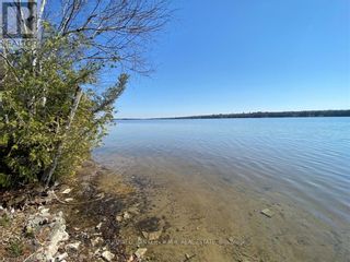 Photo 4: LOT 10 PINEWOOD BLVD in Kawartha Lakes: Vacant Land for sale : MLS®# X6727240