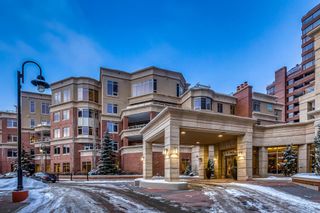 Main Photo: 307 600 Princeton Way SW in Calgary: Eau Claire Apartment for sale : MLS®# A2025695