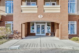Photo 49: 205 4 Hemlock Crescent SW in Calgary: Spruce Cliff Apartment for sale : MLS®# A2036956