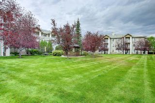 Photo 18: 3208 6818 Pinecliff Grove NE in Calgary: Pineridge Apartment for sale : MLS®# A2009042