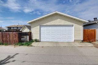 Photo 28: 5919 Pinepoint Drive NE in Calgary: Pineridge Detached for sale : MLS®# A1111211