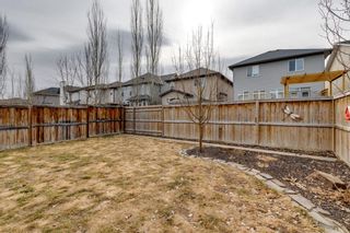 Photo 39: 572 Cranston Drive SE in Calgary: Cranston Detached for sale : MLS®# A1202504