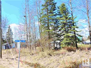 Photo 23: 5035 & 5037 Crestview Drive: Rural Lac Ste. Anne County Cottage for sale : MLS®# E4320070
