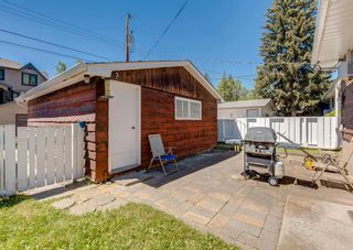 Photo 44: 3435 19 Street NW in Calgary: Charleswood Detached for sale : MLS®# A1241345