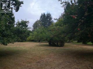 Photo 1: MANSON AVE in Powell River: Vacant Land for sale : MLS®# 16886