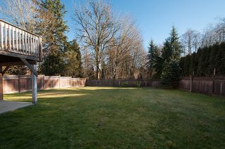 Photo 26:  in Surrey: Home for sale : MLS®# F1403509
