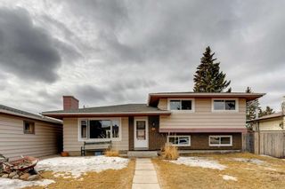 Main Photo: 115 Queensland Circle SE in Calgary: Queensland Detached for sale : MLS®# A2112471
