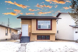 Main Photo: 5613 Temple Drive NE in Calgary: Temple Detached for sale : MLS®# A2021456