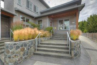 Photo 3: 2837 Austin Ave in Saanich: SW Gorge House for sale (Saanich West)  : MLS®# 924158