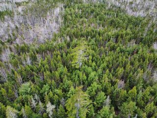 Photo 7: 65 Brule Point Road in Brule: 103-Malagash, Wentworth Vacant Land for sale (Northern Region)  : MLS®# 202322312