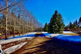 Photo 33: 275190 Glenmore Trail in Rural Rocky View County: Rural Rocky View MD Detached for sale : MLS®# A2039272