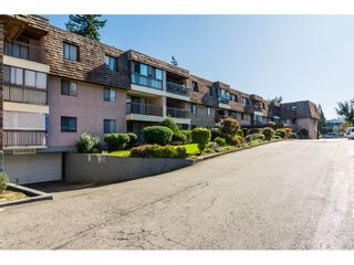 Photo 21: 317 32175 OLD YALE Road in Abbotsford: Abbotsford West Condo for sale : MLS®# R2506792