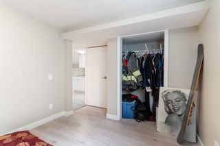 Photo 28: 244 Dovely Place SE in Calgary: Dover Detached for sale : MLS®# A2132664