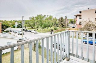 Photo 8: 1639 11 Avenue SW in Calgary: Sunalta Detached for sale : MLS®# A2126499