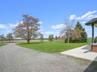 Photo 39: 6823 12th Line in New Tecumseth: Alliston House (Bungalow) for sale : MLS®# N5980964