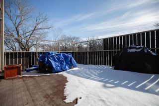 Photo 27: 180 1 Snow Street in Winnipeg: University Heights Condominium for sale (1K)  : MLS®# 202005268