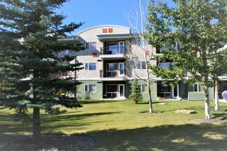 Photo 37: 69 SPRINGBOROUGH Court SW in Calgary: Springbank Hill Apartment for sale : MLS®# A1029583