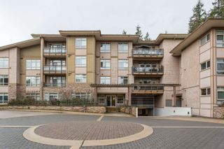 Photo 29: 307 3294 MT SEYMOUR Parkway in North Vancouver: Northlands Condo for sale in "NORTHLANDS TERRACE" : MLS®# R2752410