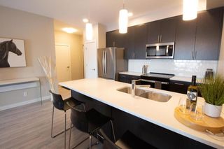 Photo 8: 327 1505 Molson Street in Winnipeg: Oakwood Estates Condominium for sale (3H)  : MLS®# 202332219