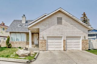Photo 1: 36 Templeson Road NE in Calgary: Temple Detached for sale : MLS®# A2050364