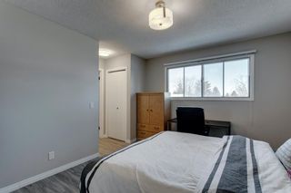 Photo 23: 3812 49 Street NE in Calgary: Whitehorn Detached for sale : MLS®# A1054455