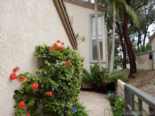 Photo 3: CARMEL VALLEY Twin-home for rent : 3 bedrooms : 3631 Fallon Circle in San Diego