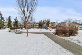 Photo 25: 41 Inverness Green SE in Calgary: McKenzie Towne Detached for sale : MLS®# A2019162
