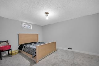 Photo 23: 747 PINECLIFF ROAD NE in Calgary: Pineridge Detached for sale : MLS®# A2038236
