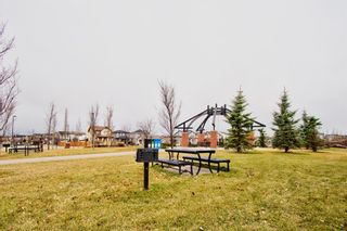 Photo 49: 362 Reunion Green NW: Airdrie Detached for sale : MLS®# A1047148