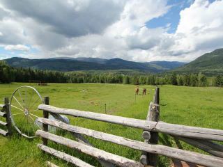Photo 21: 5780 Wikki-Up Creek Forest Service Road in Barriere: BA House for sale (NE)  : MLS®# 157249
