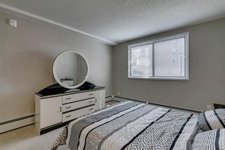 Photo 15: 104B 7301 4A Street SW in Calgary: Kingsland Apartment for sale : MLS®# A2035581