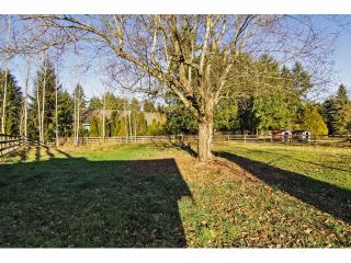 Photo 20: 24697 48B Avenue in Langley: Salmon River House for sale in "STRAWBERRY HILLS" : MLS®# F1326525