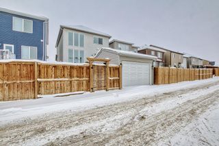 Photo 34: 16 Nolanhurst Heights NW in Calgary: Nolan Hill Detached for sale : MLS®# A2031375
