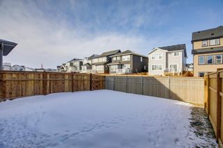 Photo 25: 289 Masters Avenue SE in Calgary: Mahogany Detached for sale : MLS®# A1212121