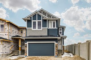 Main Photo: 131 Red Sky Crescent NE in Calgary: Redstone Detached for sale : MLS®# A2026732