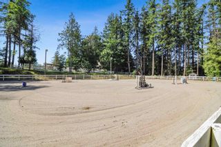 Photo 18: 21113 16 Avenue in Langley: Campbell Valley Agri-Business for sale : MLS®# C8041066