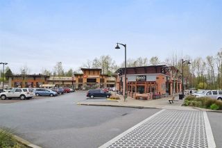 Photo 13: 222 20728 WILLOUGHBY TOWN Centre in Langley: Willoughby Heights Condo for sale : MLS®# R2054049