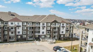 Main Photo: 3208 6118 80 Avenue NE in Calgary: Saddle Ridge Apartment for sale : MLS®# A2124445