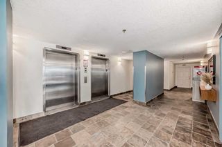 Photo 33: 233 910 Centre Avenue in Calgary: Bridgeland/Riverside Apartment for sale : MLS®# A2127142