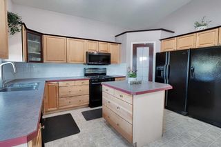 Photo 14: 95 Applestone Park SE in Calgary: Applewood Park Detached for sale : MLS®# A2079655